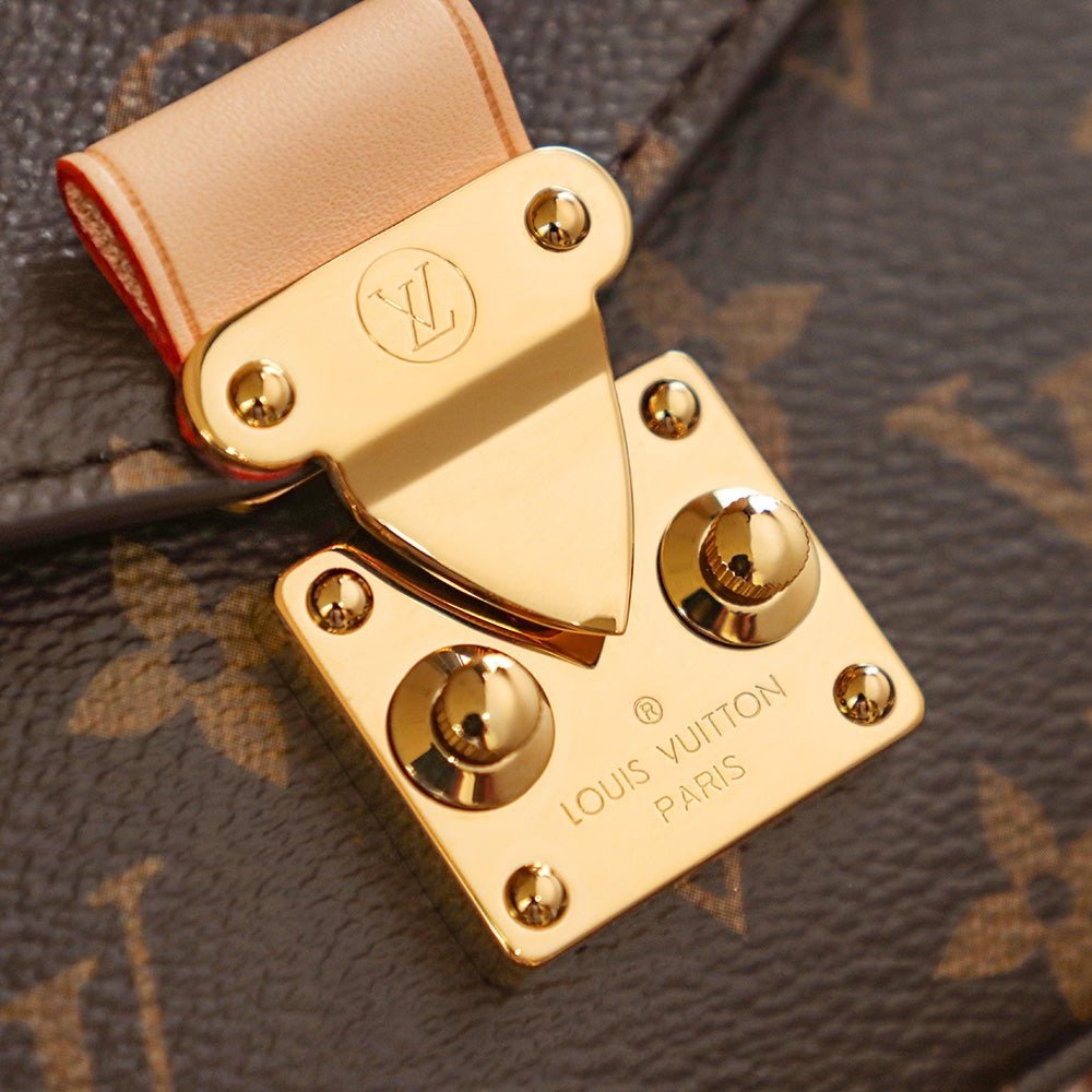 Louis Vuitton 𝐋𝐎𝐎𝐏 𝐇𝐎𝐁𝐎 catwalk style mini postman - Rachellebags